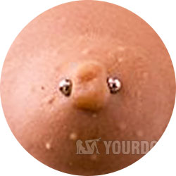 Nipple Piercing